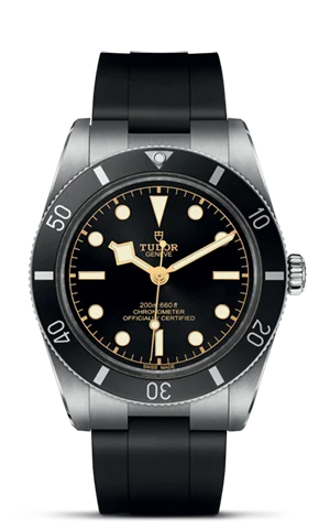 TUDOR Black Bay 54 M79000N-0002