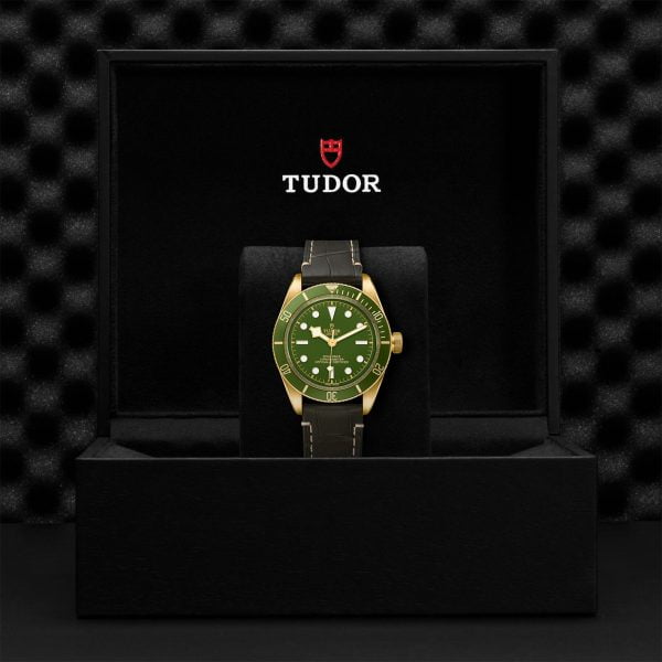 TUDOR Black Bay 58 18K M79018V-0001 - Image 5
