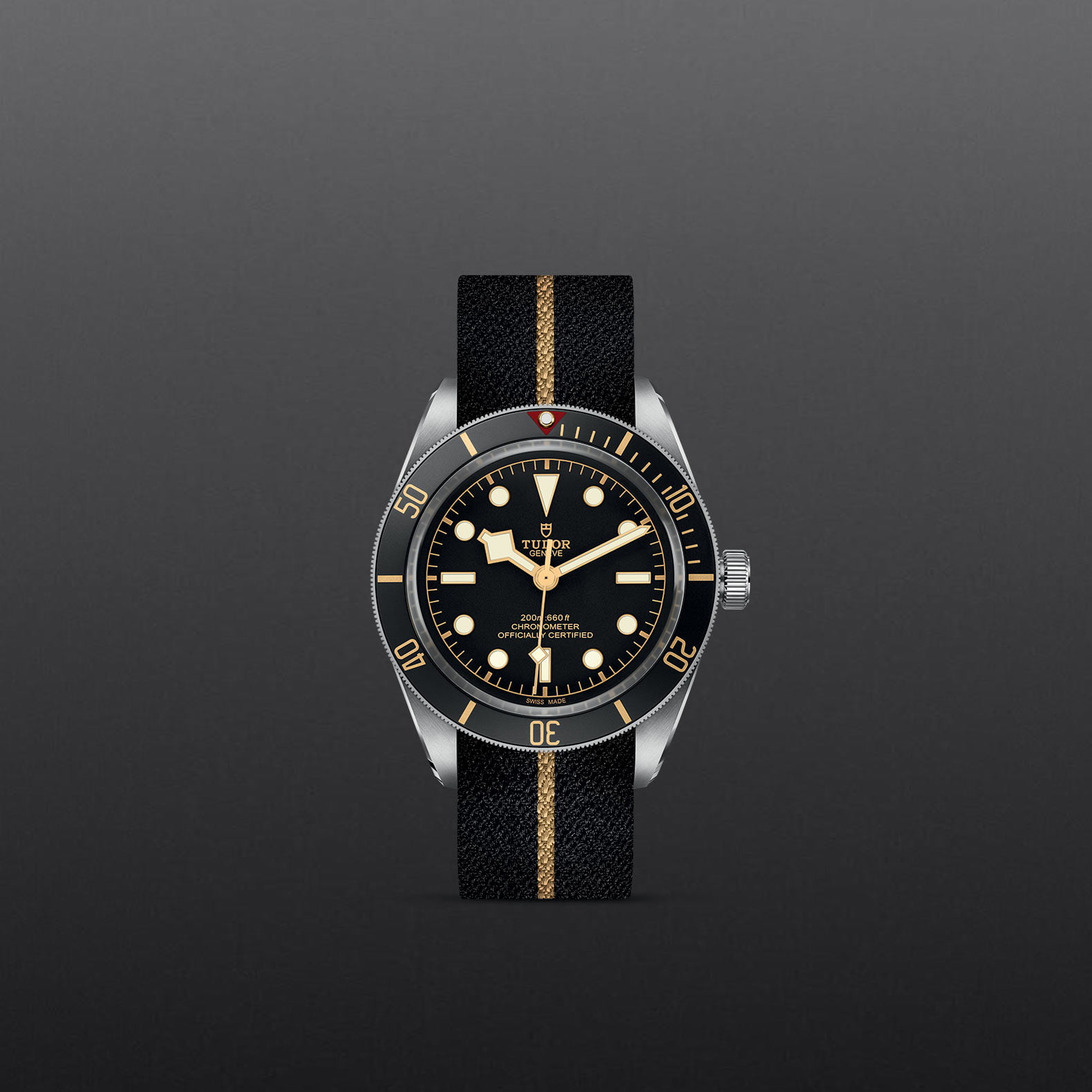 TUDOR Black Bay 58 M79030N-0003