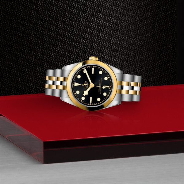 TUDOR Black Bay 31 S&G M79603-0001 - Image 4