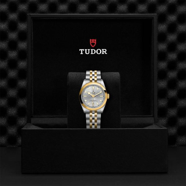 TUDOR Black Bay 31 S&G M79603-0002 - Image 5