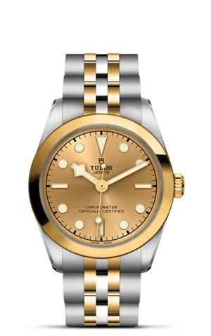 TUDOR Black Bay 31 S&G M79603-0005