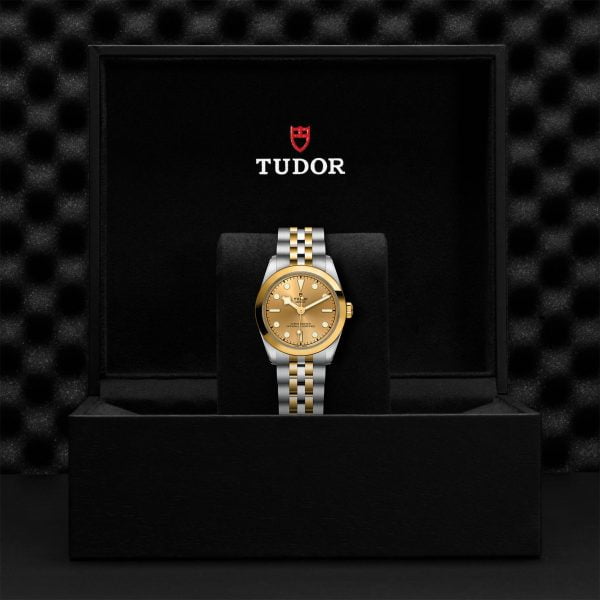 TUDOR Black Bay 31 S&G M79603-0005 - Image 5