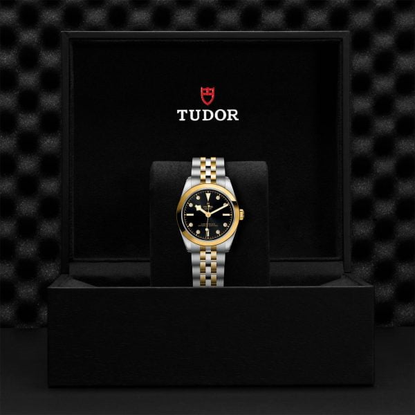 TUDOR Black Bay 31 S&G M79603-0006 - Image 5