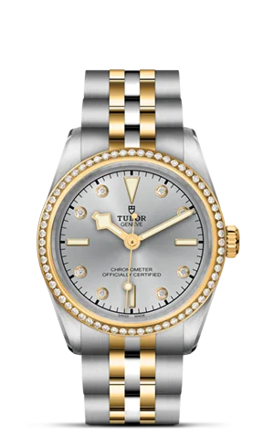 TUDOR Black Bay 31 S&G M79613-0006