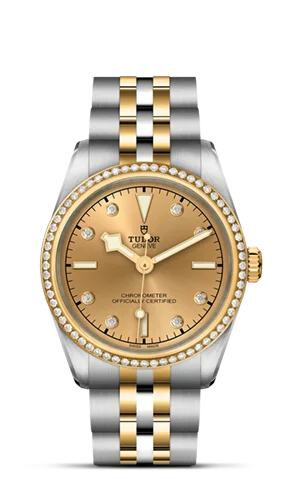 TUDOR Black Bay 31 S&G M79613-0007