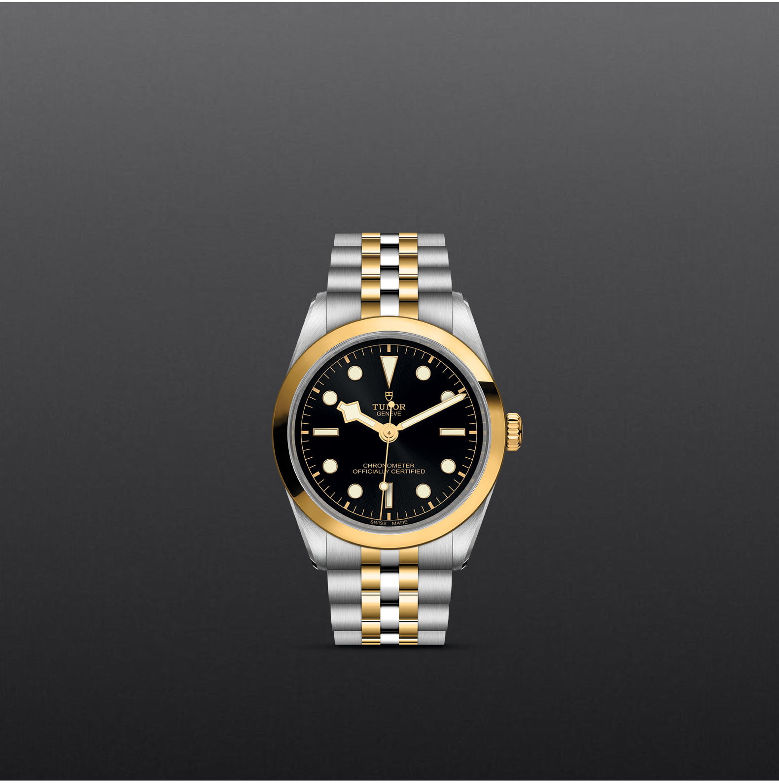 TUDOR Black Bay 36 S&G M79643-0001