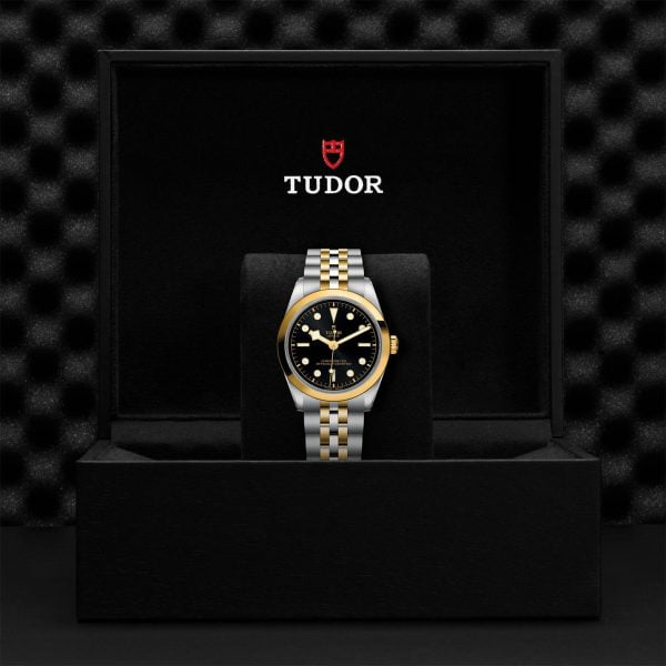 TUDOR Black Bay 36 S&G M79643-0001 - Image 5