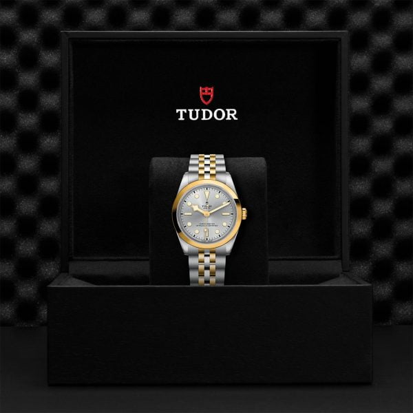 TUDOR Black Bay 36 S&G M79643-0002 - Image 5