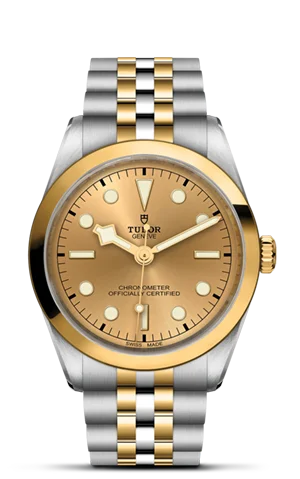 TUDOR Black Bay 36 S&G M79643-0005