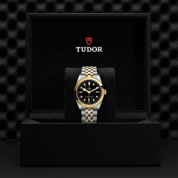 TUDOR Black Bay 36 S&G M79643-0006 - Image 5