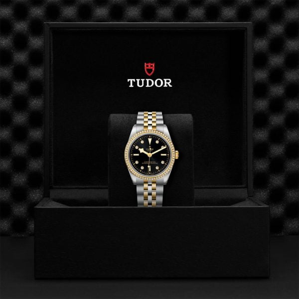 TUDOR Black Bay 36 S&G M79653-0005 - Image 5