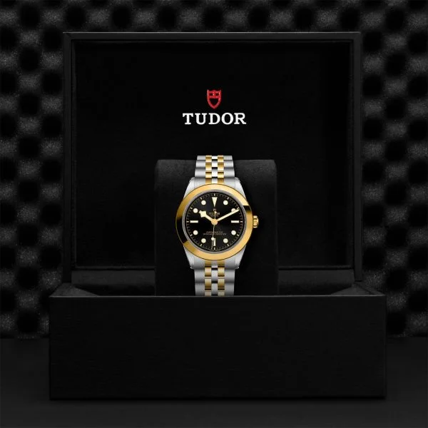 TUDOR Black Bay 39 S&G M79663-0001 - Image 5