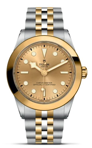 TUDOR Black Bay 39 S&G M79663-0005