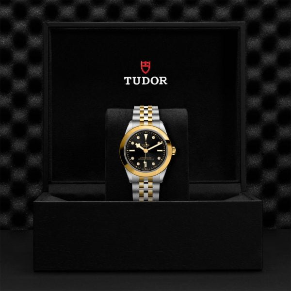 TUDOR Black Bay 39 S&G M79663-0006 - Image 5