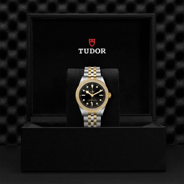 TUDOR Black Bay 39 S&G M79673-0005 - Image 5