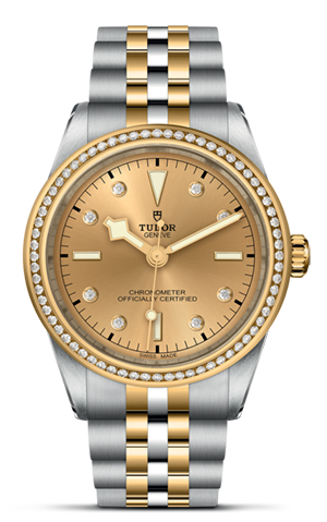 TUDOR Black Bay 39 S&G M79673-0007