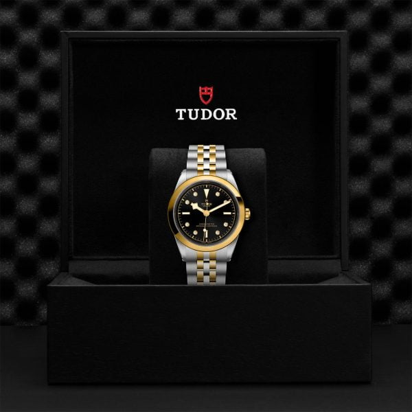 TUDOR Black Bay 41 S&G M79683-0006 - Image 5
