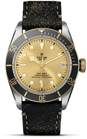 Tudor Black Bay S&G M79733N-0003 - Washington Watches