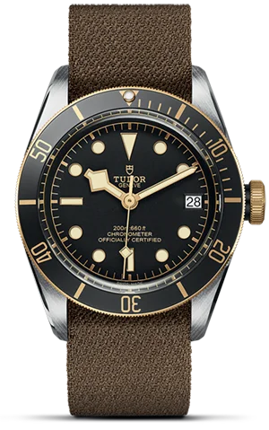 Tudor Black Bay S&G M79733N-0005 - Washington Watches 
