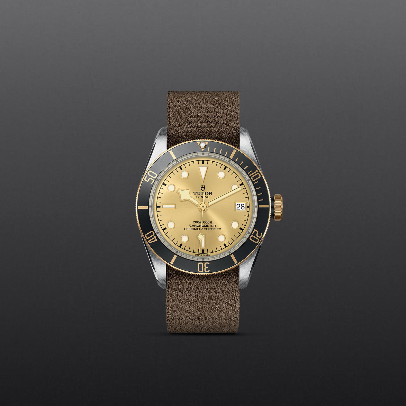 TUDOR Black Bay S&G M79733N-0006