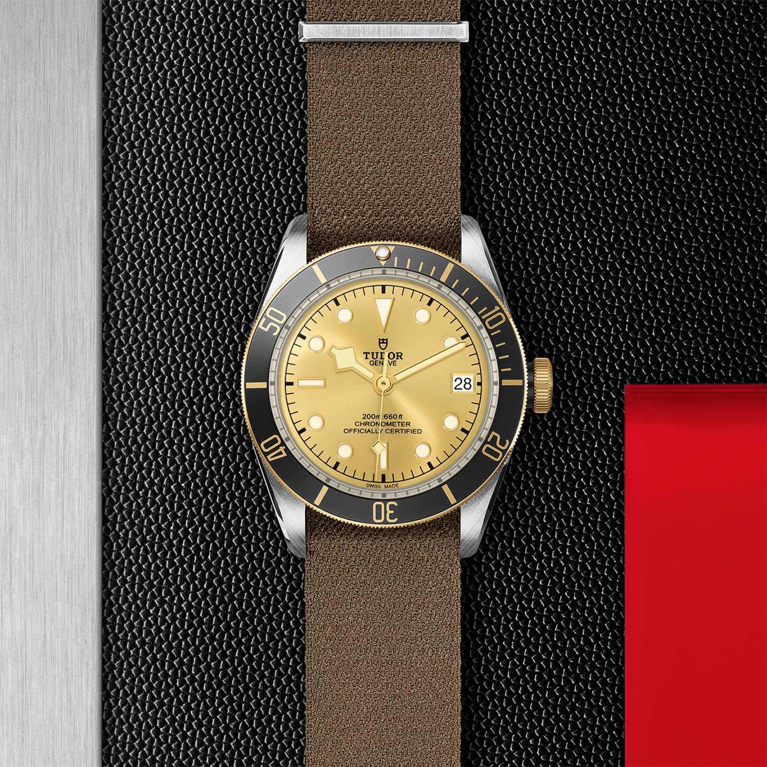 TUDOR Black Bay S&G M79733N-0006 - Image 3