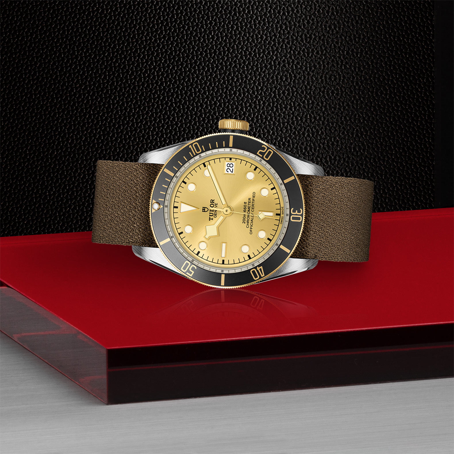 TUDOR Black Bay S&G M79733N-0006 - Image 4