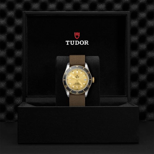 TUDOR Black Bay S&G M79733N-0006 - Image 5