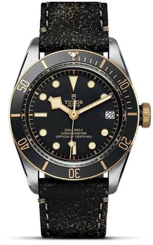 Tudor Black Bay S&G M79733N-0007 - Washington Watches