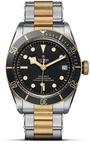 Tudor Black Bay S&G M79733N-0008 - Washington Watches 