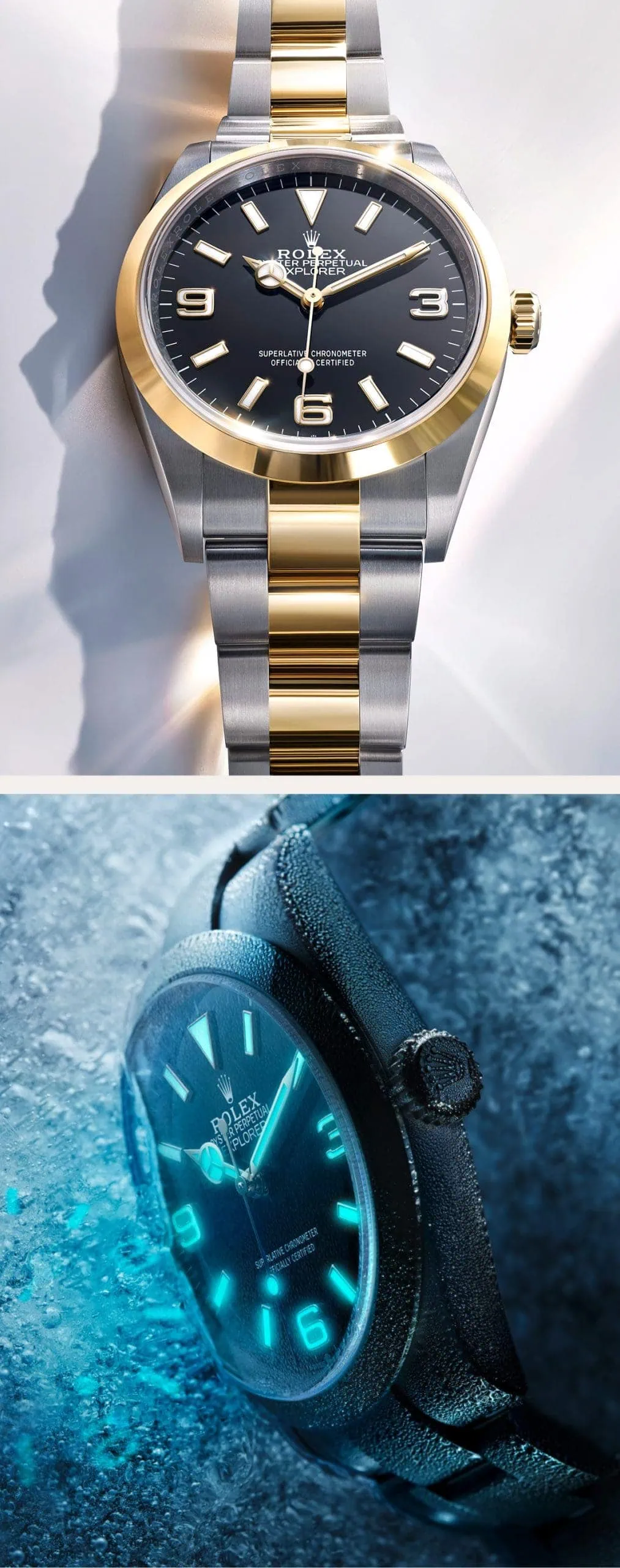 Rolex Explorer Watches | Washington Watches