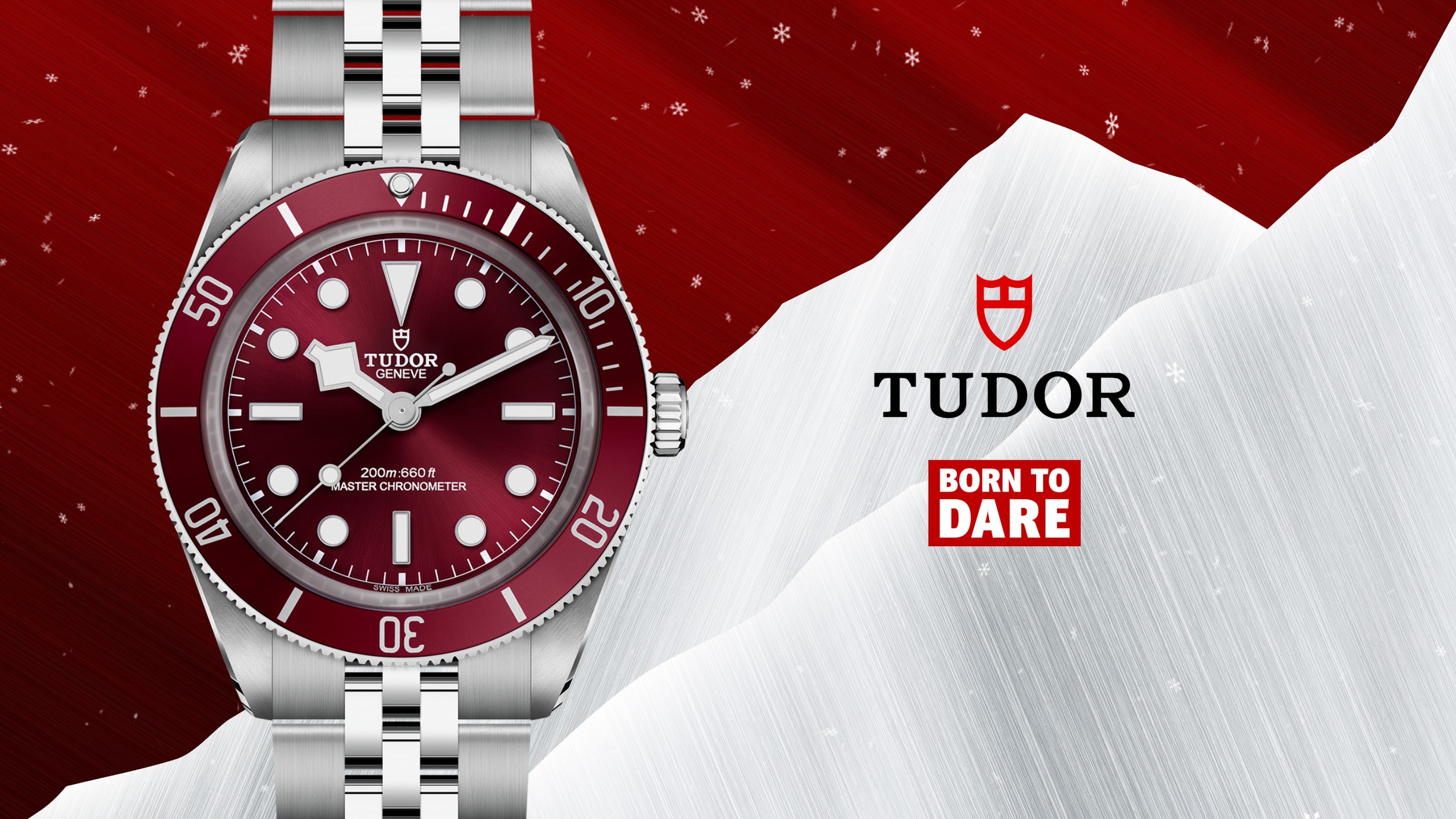 Tudor Landing Page Banner Desktop