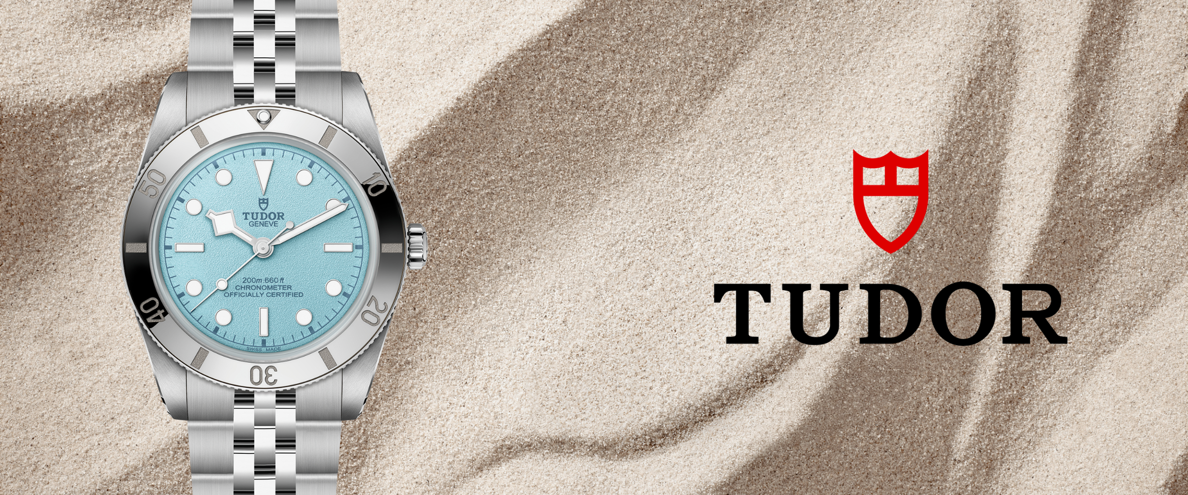 Tudor banner 2