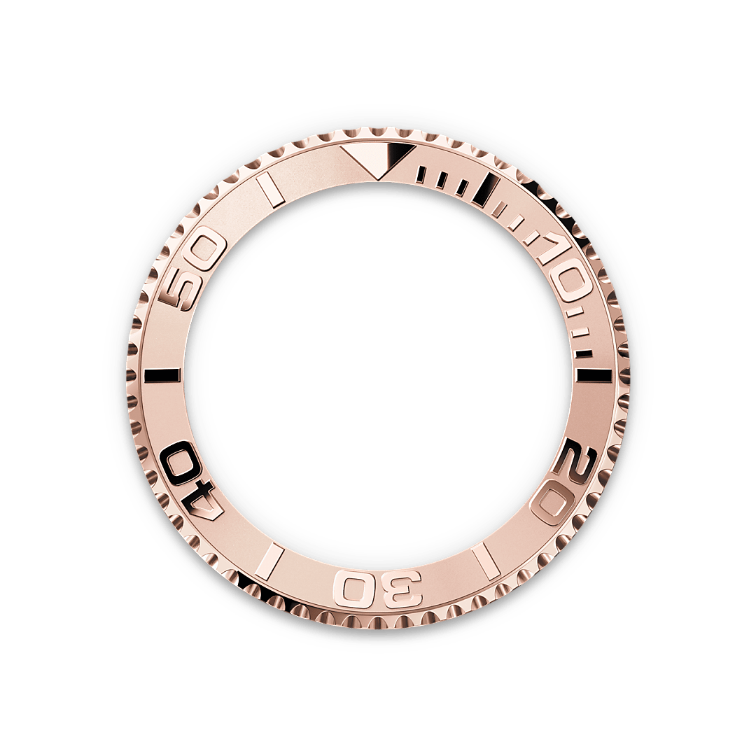 Rolex Bidirectional Rotatable Bezel - Washington Watches