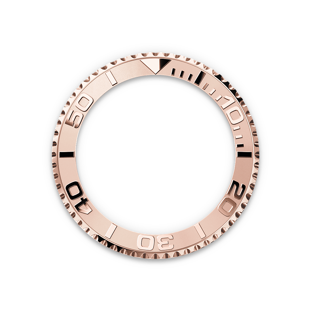 Rolex Bidirectional Rotatable Bezel - Washington Watches