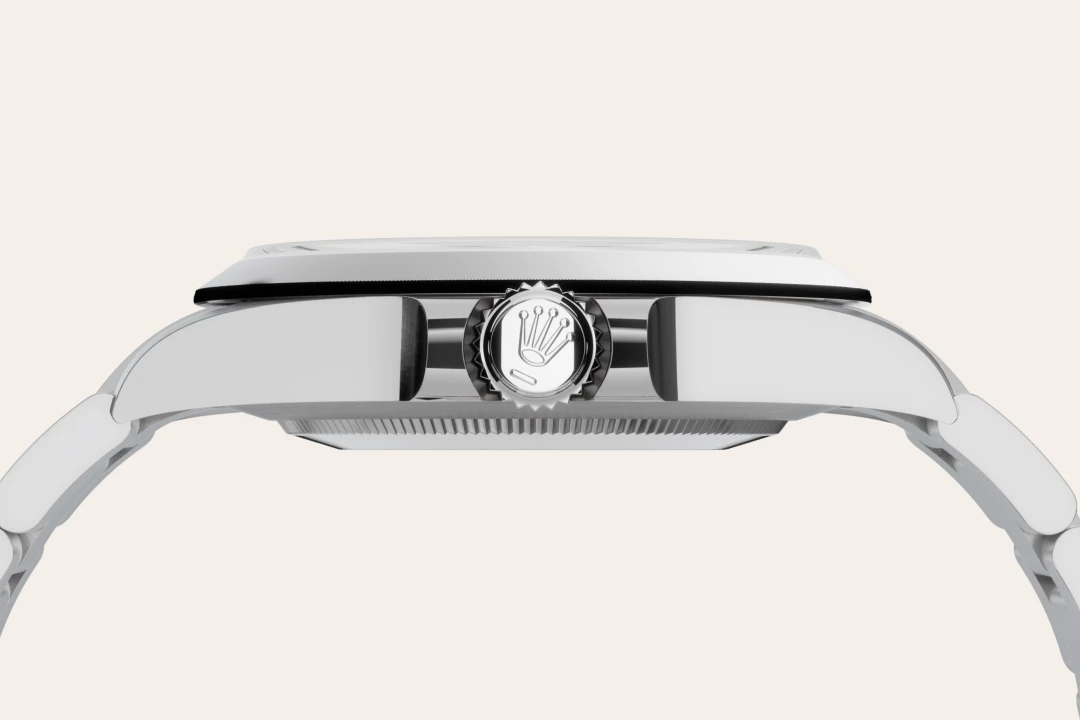 Rolex Oystersteel - Washington Watches