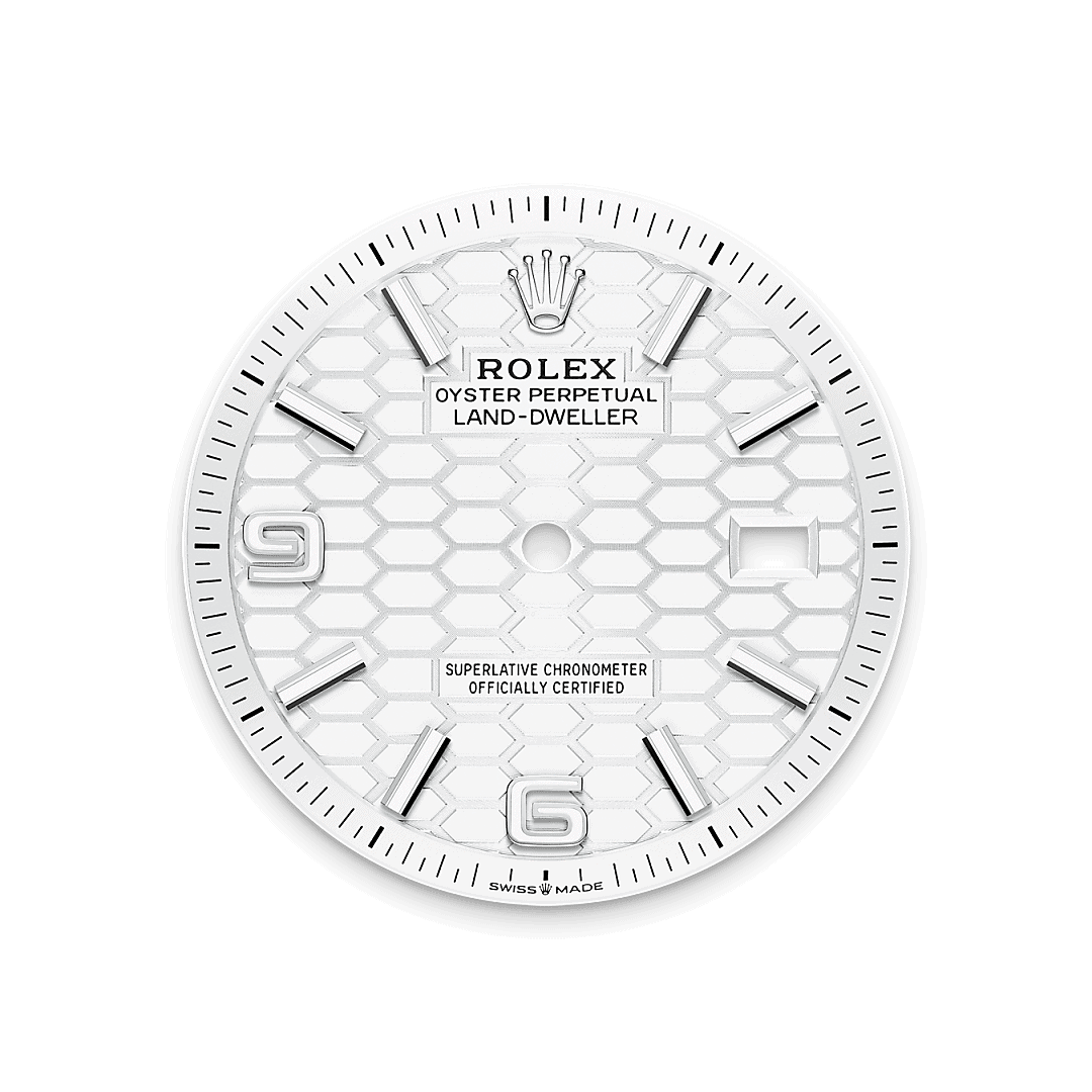 Rolex Land-Dweller M127234-0001 - Washington Watches