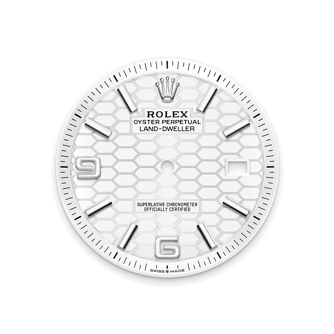 Rolex Land-Dweller M127334-0001 - Washington Watches