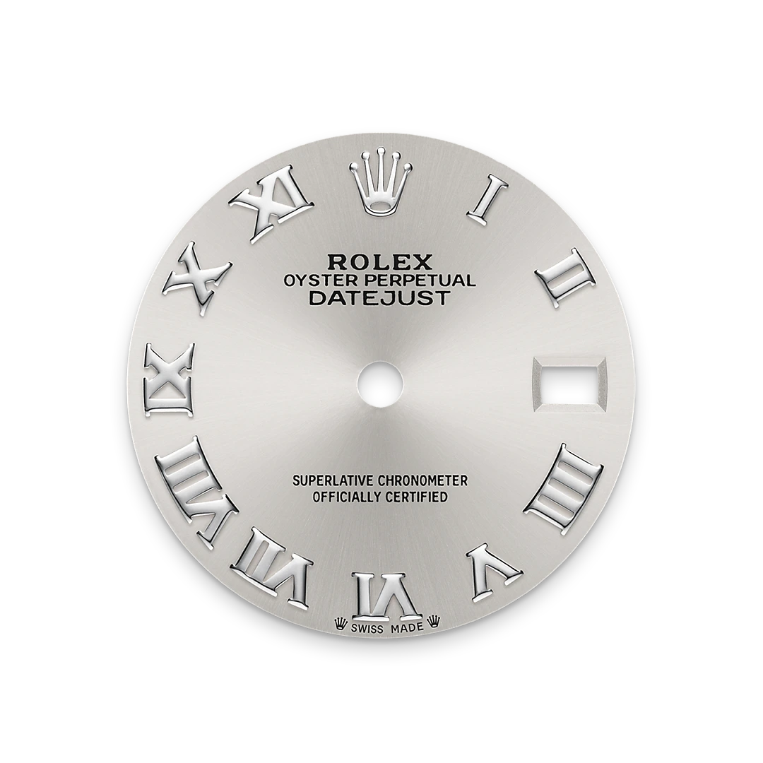 Rolex Silver dial - Washington Watches