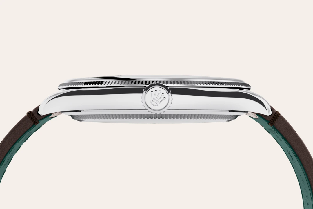 Rolex Platinum - Washington Watches