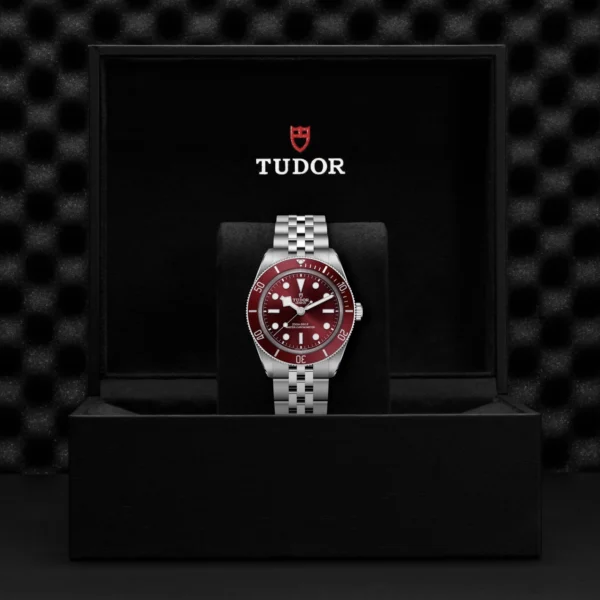 TUDOR Black Bay 58 M7939A1A0RU-0001 - Image 5