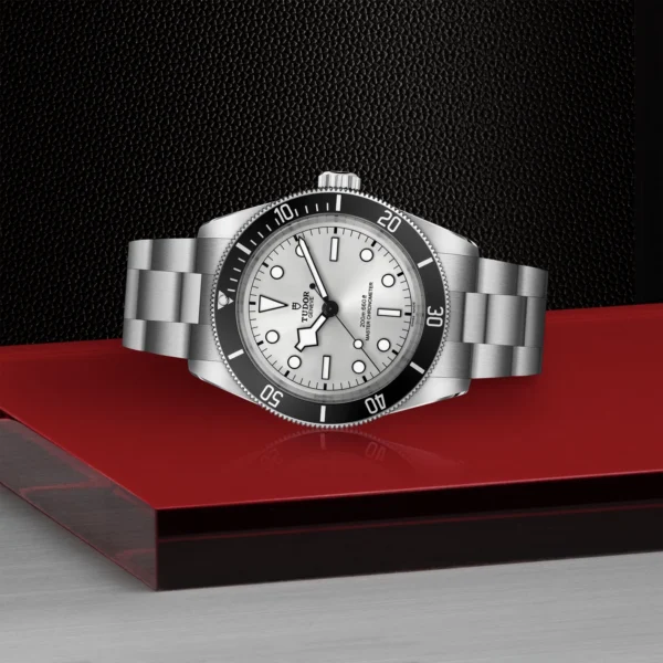 TUDOR Black Bay 68 M7943A1A0NU-0002 - Image 5