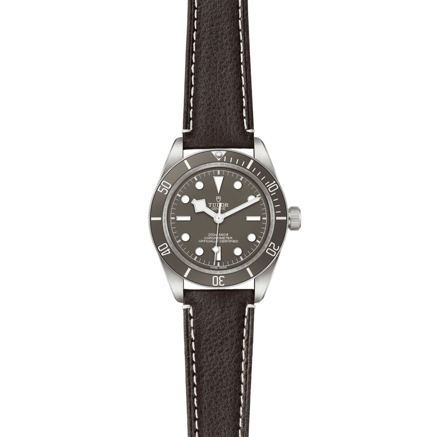 TUDOR Black Bay 58 925 M79010SG-0001