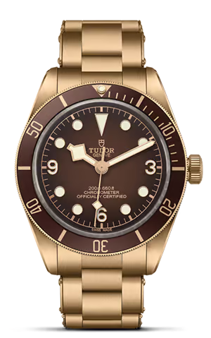 TUDOR Black Bay 58 M79012M-0001